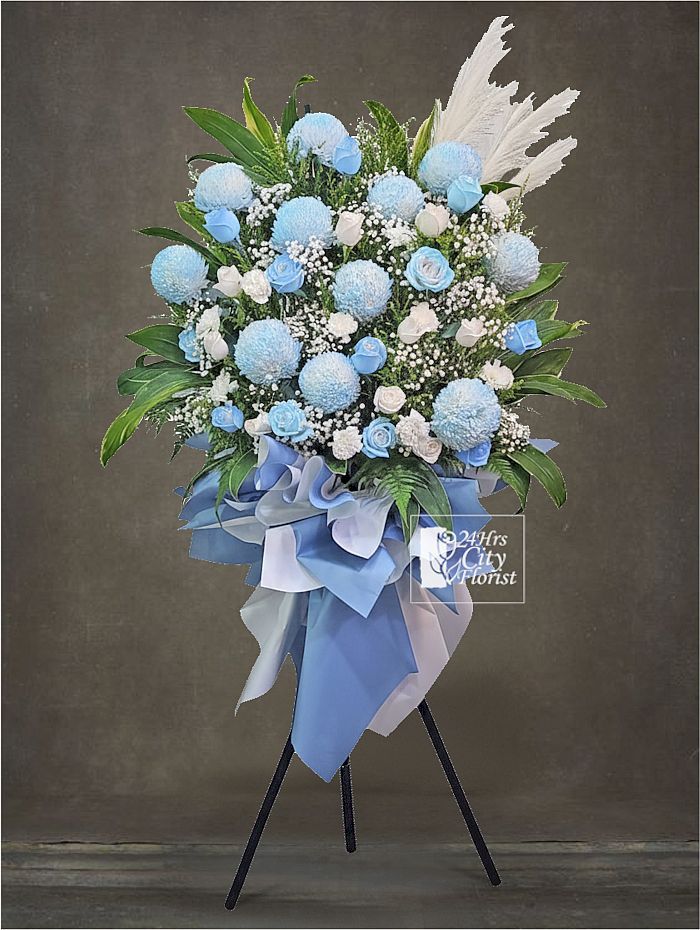 Blue Triumph congrat..